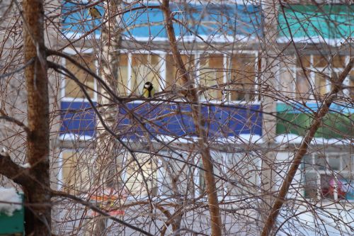 В Татарстане сегодня ожидается дождь