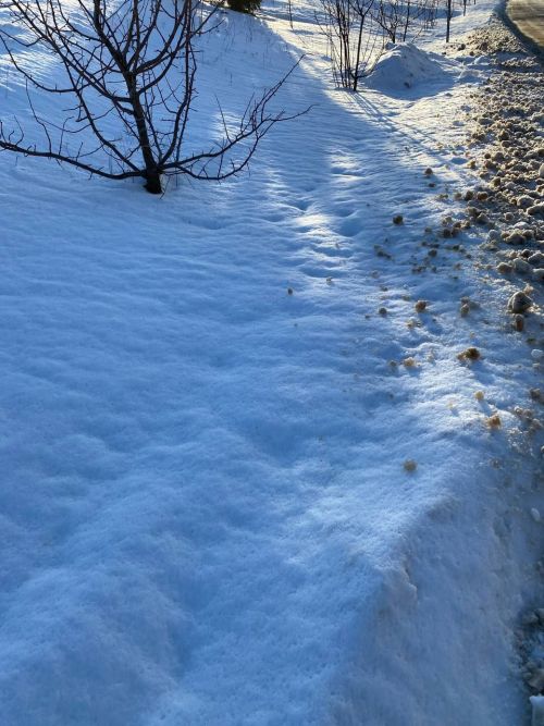В Татарстане ожидается облачная погода и туман