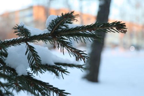 В Татарстане ожидаются снегопады и −15°мороза