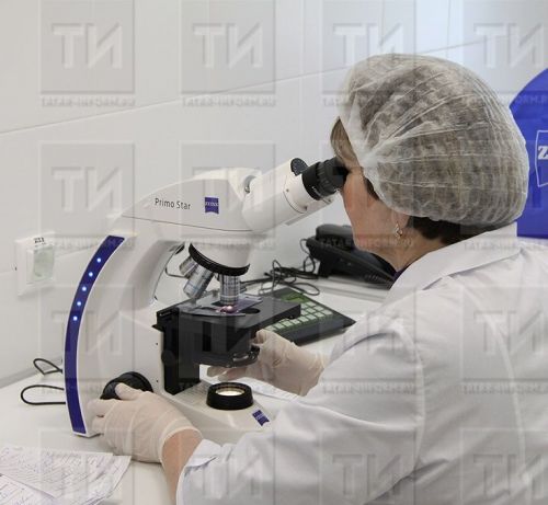 В Татарстане зарегистрирован один случай лихорадки денге