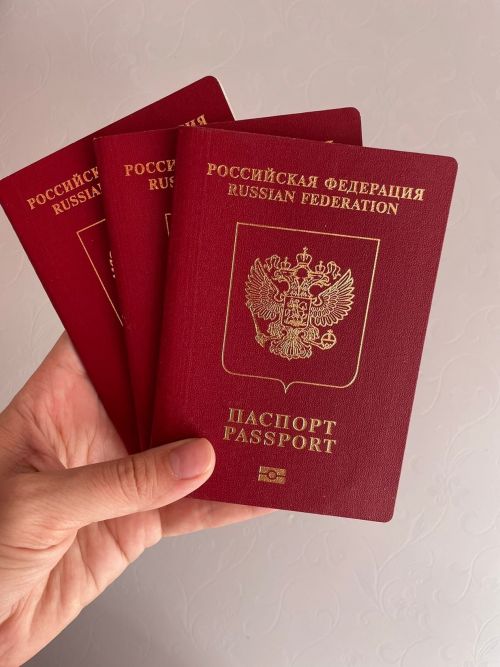 В МФЦ Татарстана выдача загранпаспортов нового образца приостановлена до середины апреля