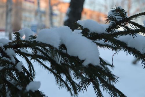 Синоптики назвали даты в феврале, когда придут дикие морозы