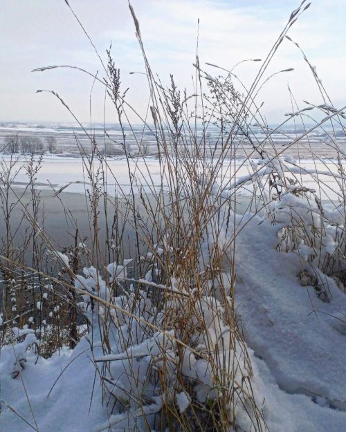 В Татарстане спасен мужчина, упавший на лед городского канала