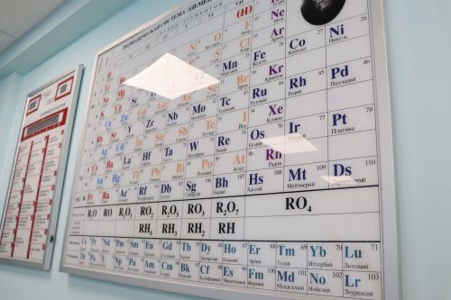 В Татарстане треть учащихся начальной школы страдает ожирением
