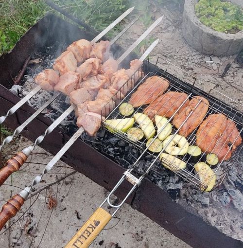 Россиялеләргә дачада шашлык кыздырырга рөхсәт иткәннәр