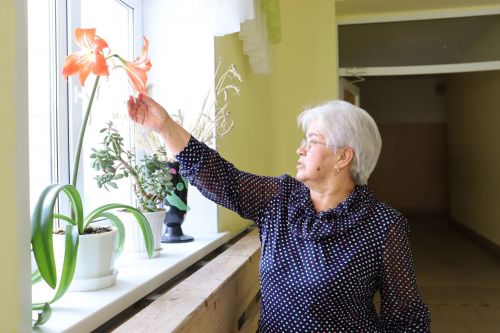 Сафура Гафиятуллина: «Цветы в школе №1 дарят учащимся радость и хорошее настроение»