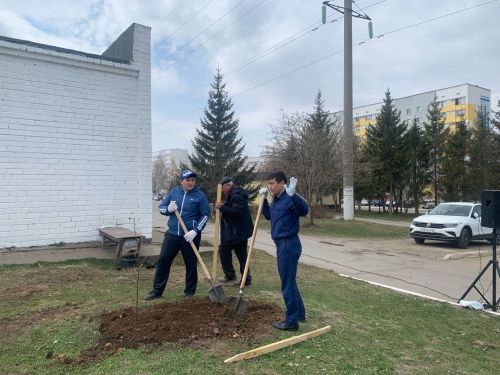 Улицы и парки Менделеевска пополнились саженцами елей и яблонь