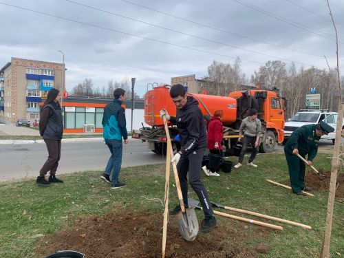 Улицы и парки Менделеевска пополнились саженцами елей и яблонь