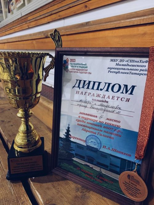Менделеевские хоккеисты взяли бронзу