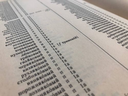 Словарь нового русского языка скоро станет доступен для россиян