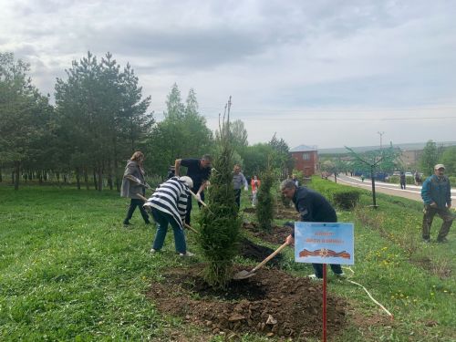 В Менделеевском районе появилась новая аллея