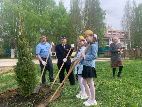 В Менделеевском районе появилась новая аллея
