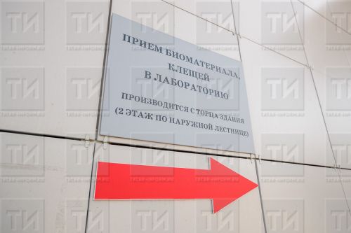 В Татарстане увеличилось число обращений из-за укусов клещей