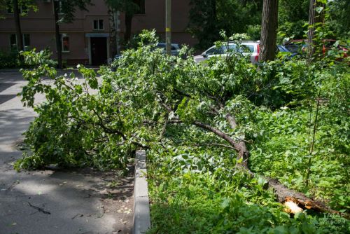 В Казани от урагана пострадали 23 человека