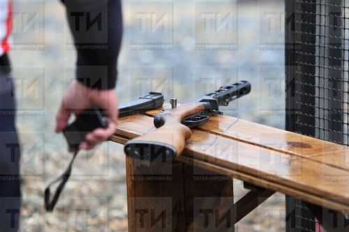 В Татарстане хотят разрешить охоту на бакланов