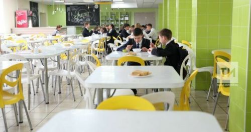 В РТ могут повыситься цены на школьное питание