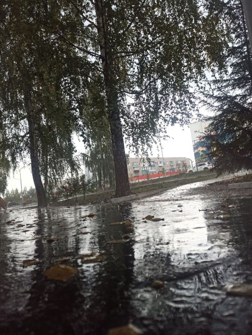 В Менделеевске ожидается ветреная погода