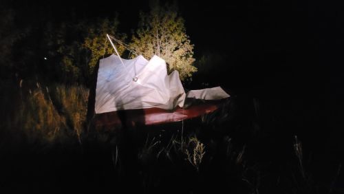 В Менделеевском районе при падении дельтаплана погиб человек