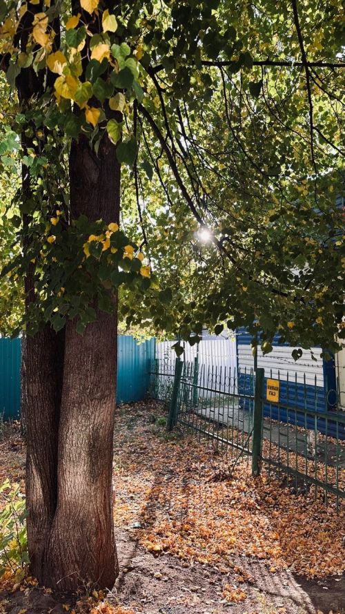 Сегодня в Республике Татарстан сохранится теплая погода