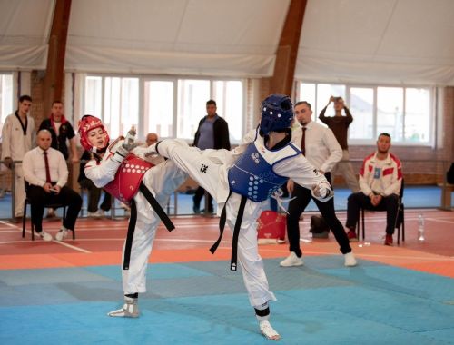 Менделеевские спортсмены заняли призовые места на Чемпионате ПФО по тхэквондо