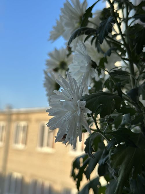 Народный календарь