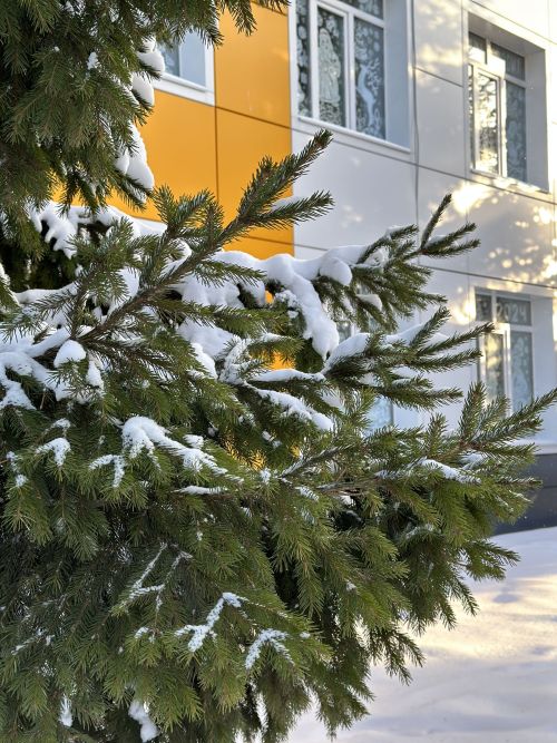 В Татарстане ожидается снег и метель