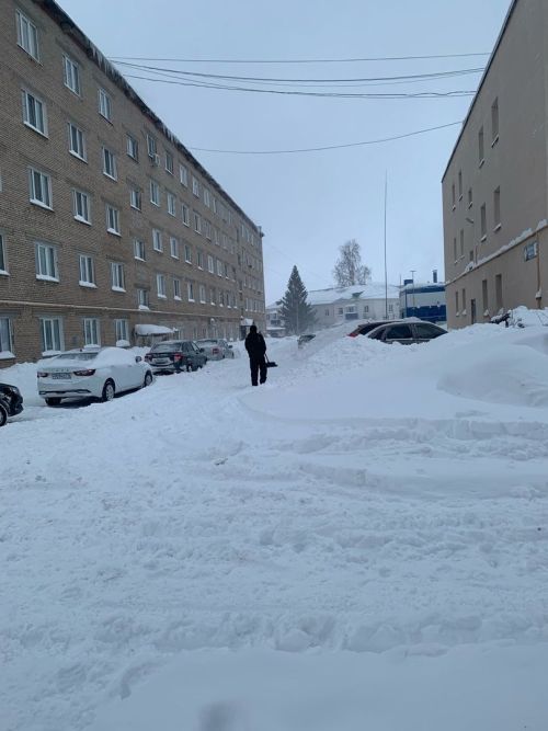 Неравнодушные менделеевцы выходят на борьбу с природной стихией