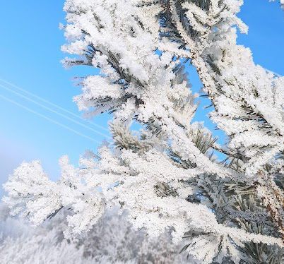 Какая погода ждёт менделеевцев в первую рабочую неделю нового года