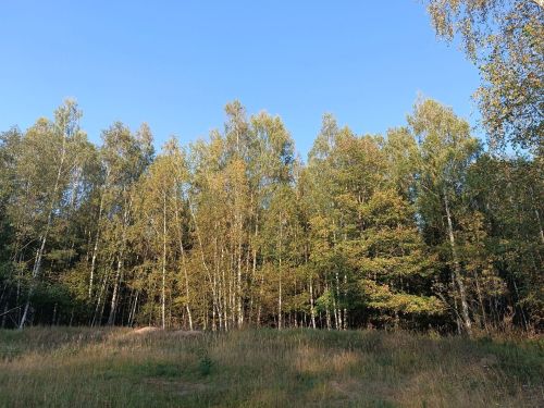 1 октября — Аринин день, в память о святой мученице Ариадне