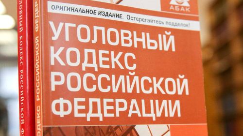 Альфия Когогина: Нелегальная миграция — тяжкое преступление во всем мире