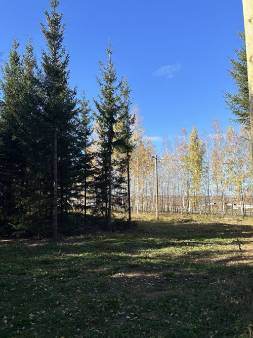 В Менделеевске осадков не ожидается