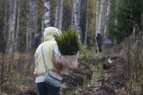 Жителям Республики Татарстан предложено внести свой вклад в благотворительную инициативу «Сохраним лес»