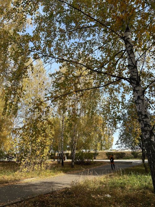 В Менделеевске днём ожидается +21 градус, но ночью минусовая температура