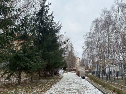 Жителям Татарстана рассказали, когда ждать арктическое вторжение с Карского моря