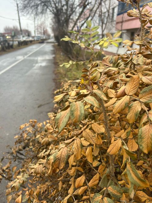 В Менделеевске прогнозируют дожди и снег
