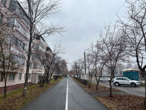 В начале ноября у жителей Татарстана будет короткая рабочая неделя