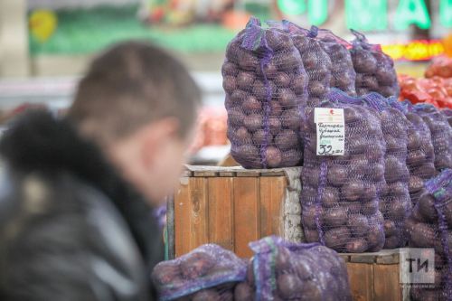 Генпрокуратура и ФАС проверят рост цен на картофель