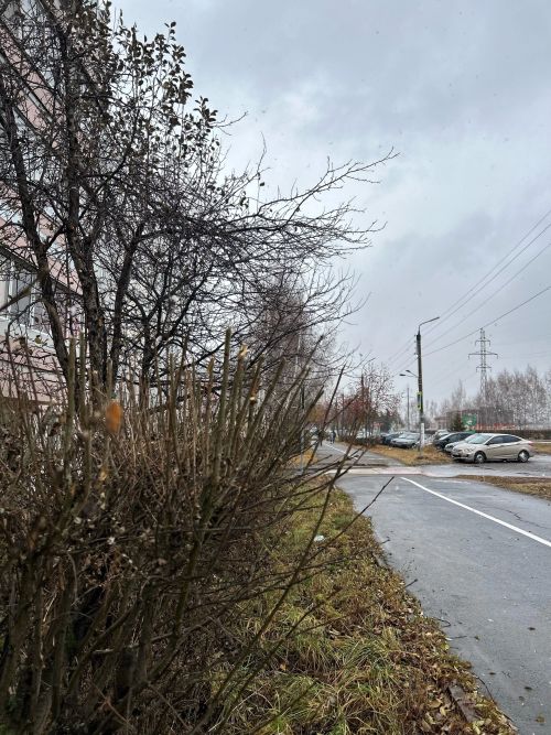 Метель ожидается в Менделеевске в начале трехдневной рабочей недели