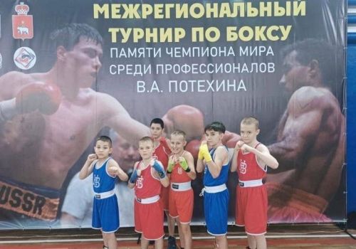 Менделеевские юные боксеры завоевали «золото»
