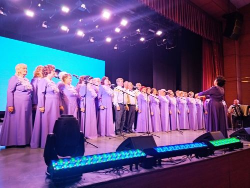 Народный хор ветеранов и ВИА «Кроссворд» в День представили зрителям концерт «С чего начинается Родина»