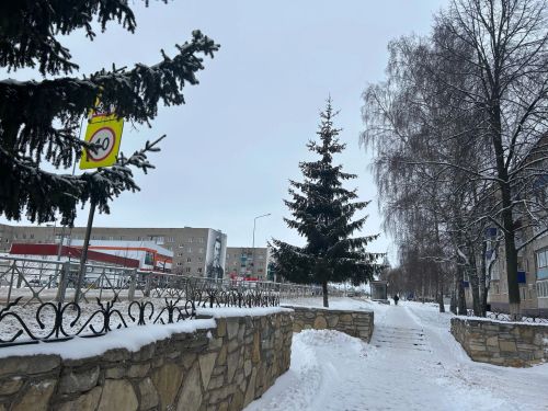 Снегопад, метель и гололедица: Татарстан готовится к ухудшению погодных условий 12 декабря