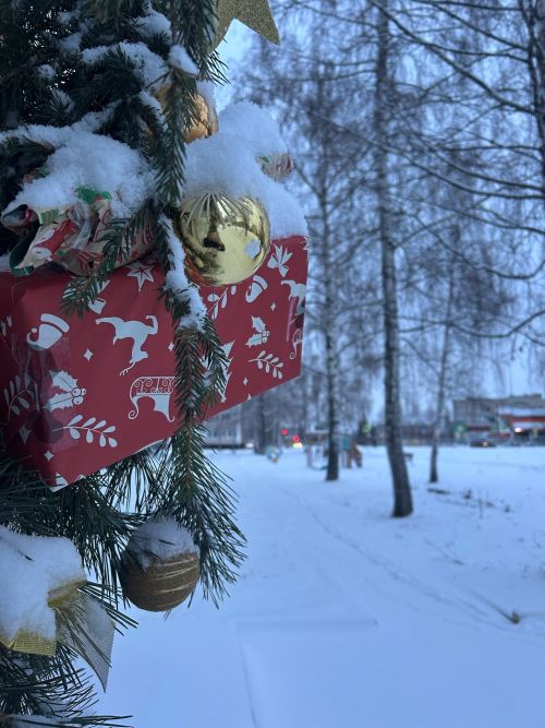 Менделеевск встречает пятницу с метелью и гололедом