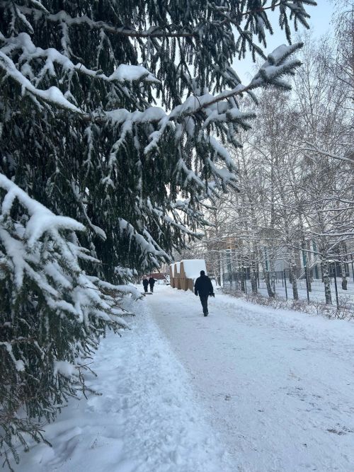 Погода в Менделеевске: понедельник принесет снег, метель и гололедицу