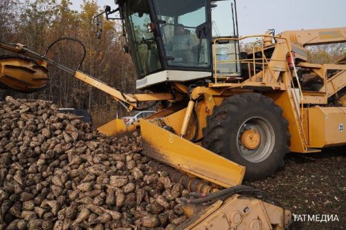 Потребности населения Татарстана в сахаре будут обеспечены более чем в два раза