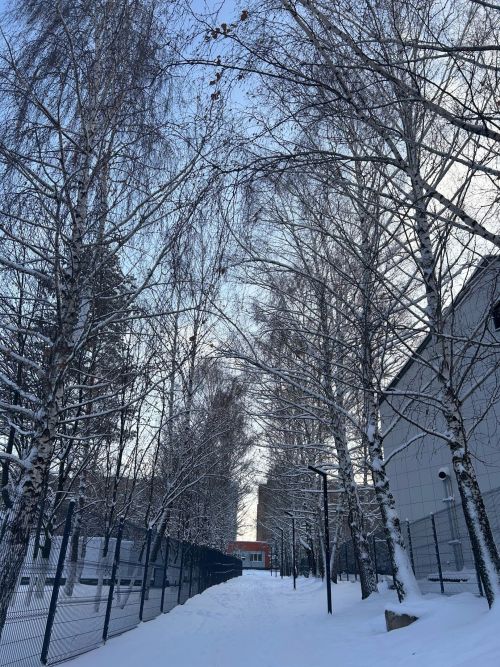 Зимнее солнцестояние в 2024 году