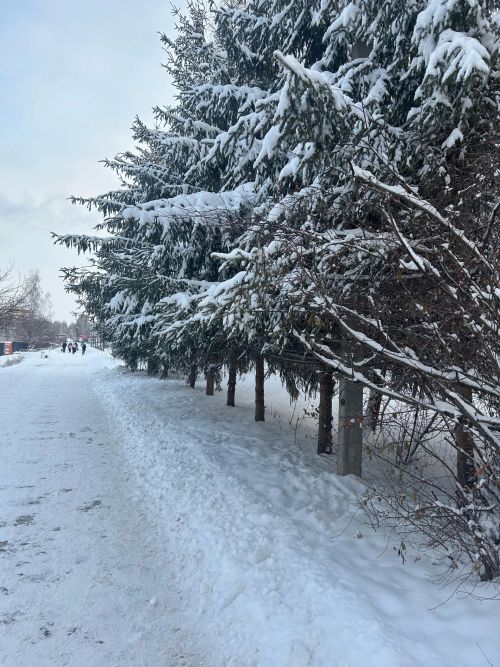 В четверг в Менделеевске начнет холодать