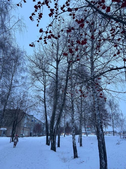 Прогноз погоды на 24 декабря в Менделеевске