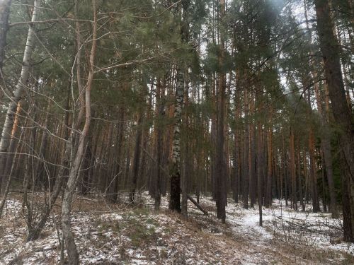 8 декабря верующие вспоминают святого Климента