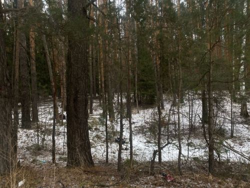 В Менделеевске похолодает до -7 градусов