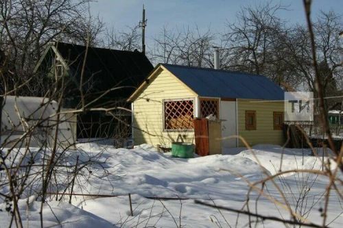Защита сада зимой: что нужно знать каждому садоводу